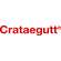 Crataegutt® 450mg - Filmtabletten, A-Nr.: 4215660 - 05