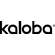 Sie sehen eine Packung Kaloba® 20 mg Filmtabletten, Produktbild: 06 Kaloba® 20 mg Filmtabletten, A-Nr.: 4958585 - 06