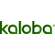 Sie sehen eine Packung Kaloba® 20 mg Filmtabletten, Produktbild: 05 Kaloba® 20 mg Filmtabletten, A-Nr.: 4958591 - 05