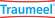 Traumeel®-Salbe, A-Nr.: 0928736 - 05