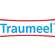 Sie sehen eine Packung Traumeel®-Tabletten, Produktbild: 05 Traumeel®-Tabletten, A-Nr.: 0177098 - 05