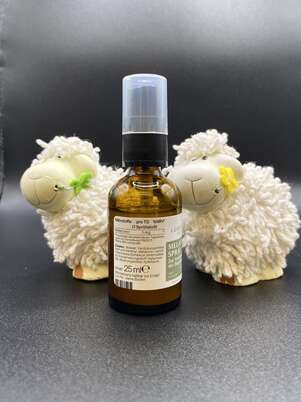Melatonin Spray 1 Mg, A-Nr.: 8020611 - 02