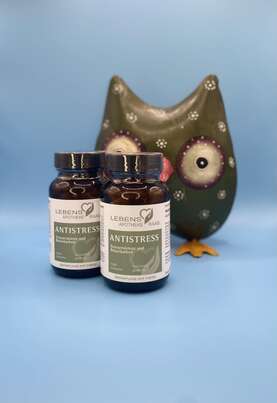 Sie sehen eine Packung Anti Stress Kapseln, Produktbild: 01 Anti Stress Kapseln, A-Nr.: 8023526 - 01