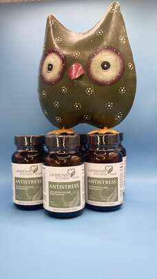 Sie sehen eine Packung Anti Stress Kapseln, Produktbild: 02 Anti Stress Kapseln, A-Nr.: 8023526 - 02