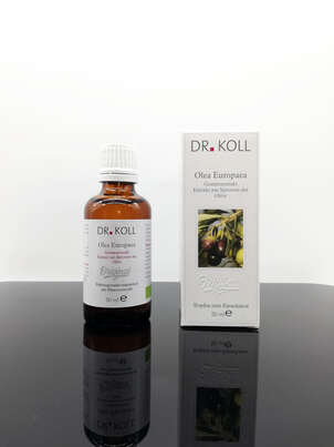 Gemmoextrakt Olive, A-Nr.: 5238568 - 01