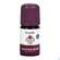 Taoasis Kamillenöl Wild Marokko Bio 5ml, A-Nr.: 3494994 - 01