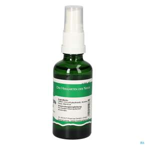 Pater Severin Dmso-spray 50% Mit Menthol, A-Nr.: 5428636 - 01