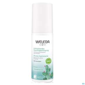 Weleda Feigenkaktus/erfrischendes Feuchtigkeits Spray 100ml, A-Nr.: 5213953 - 01