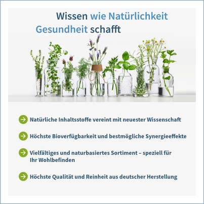 Sie sehen eine Packung NatuGena Neuro-Idealis Kapseln, Produktbild: 05 NatuGena Neuro-Idealis Kapseln, A-Nr.: 5847327 - 05