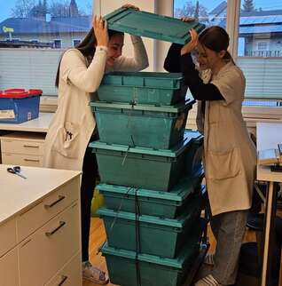 Elisa und Tifani Ware.jpg