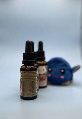 Sie sehen eine Packung Biotic Kids Tropfen 30ml, Produktbild: 03 Biotic Kids Tropfen 30ml, A-Nr.: 8023526 - 03