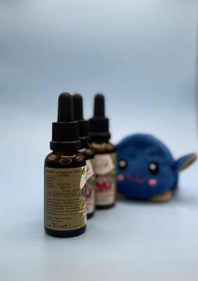 Sie sehen eine Packung Biotic Kids Tropfen 30ml, Produktbild: 02 Biotic Kids Tropfen 30ml, A-Nr.: 8023526 - 02