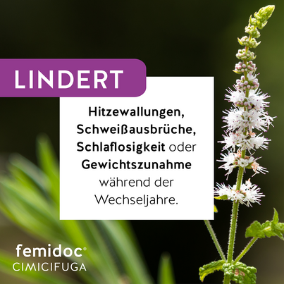Sie sehen eine Packung femidoc CIMICIFUGA 13 mg Filmtabletten, Produktbild: 03 femidoc CIMICIFUGA 13 mg Filmtabletten, A-Nr.: 5533787 - 03