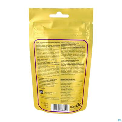 Sie sehen eine Packung Grethers Pastillen Zuckerfrei Blueberry Beutel 110g, Produktbild: 03 Grethers Pastillen Zuckerfrei Blueberry Beutel 110g, A-Nr.: 5903675 - 03