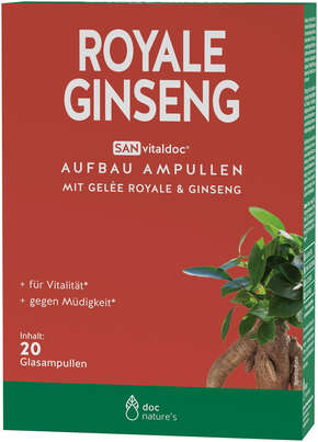 Sie sehen eine Packung doc nature‘s ROYAL GINSENG Aufbau Ampullen, Sanvital, Produktbild: 01 doc nature‘s ROYAL GINSENG Aufbau Ampullen, Sanvital, A-Nr.: 6000550 - 01