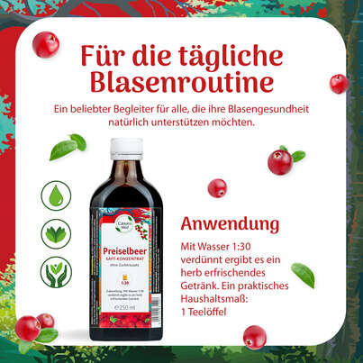 Sie sehen eine Packung Preiselbeersaft-Konzentrat 1:30 250ml, Produktbild: 03 Preiselbeersaft-Konzentrat 1:30 250ml, A-Nr.: 3063142 - 03