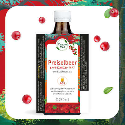 Sie sehen eine Packung Preiselbeersaft-Konzentrat 1:30 250ml, Produktbild: 04 Preiselbeersaft-Konzentrat 1:30 250ml, A-Nr.: 3063142 - 04