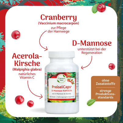 Sie sehen eine Packung PREISEL-CAPS D-MANNOSE 100 Kapseln, Produktbild: 02 PREISEL-CAPS D-MANNOSE 100 Kapseln, A-Nr.: 5410286 - 02