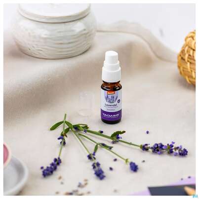 Sie sehen eine Packung Taoasis Raumspray Lavendel Mini Demeter 10ml, Produktbild: 03 Taoasis Raumspray Lavendel Mini Demeter 10ml, A-Nr.: 5998322 - 03