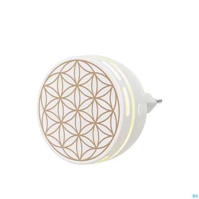 Sie sehen eine Packung Primavera Duftstecker Easy Fuer Die Steckdose 1st, Produktbild: 03 Primavera Duftstecker Easy Fuer Die Steckdose 1st, A-Nr.: 5907294 - 03