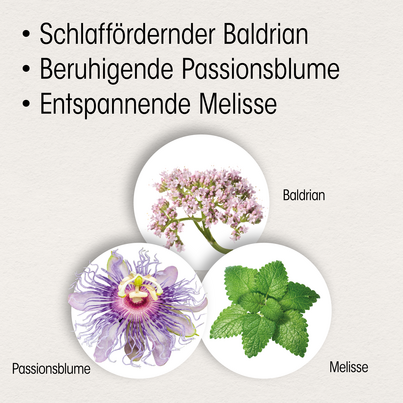 Dr. Böhm Ein- und Durchschlaf Dragees, A-Nr.: 4203272 - 02