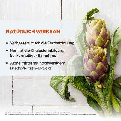 Dr. Böhm Artischoke, A-Nr.: 3516135 - 03