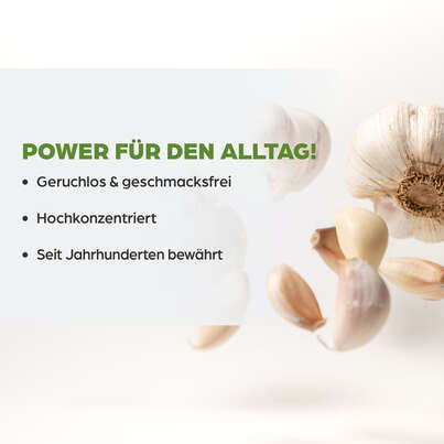 Sie sehen eine Packung Dr. Böhm Knoblauch nur 1 Dragee täglich, Produktbild: 03 Dr. Böhm Knoblauch nur 1 Dragee täglich, A-Nr.: 1520316 - 03