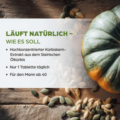 Sie sehen eine Packung Dr. Böhm Kürbis nur 1 Tablette täglich, Produktbild: 03 Dr. Böhm Kürbis nur 1 Tablette täglich, A-Nr.: 2552459 - 03