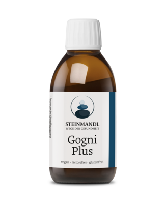 Steinmandl CogniPlus, A-Nr.: 6039641 - 01