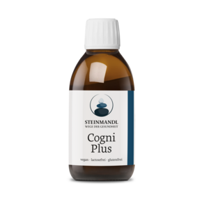 Steinmandl CogniPlus, A-Nr.: 6039641 - 01