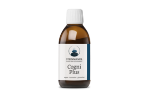 Steinmandl CogniPlus, A-Nr.: 6039641 - 01