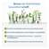 Sie sehen eine Packung N-Zymarase® Inflam Kapseln, Produktbild: 05 N-Zymarase® Inflam Kapseln, A-Nr.: 5926825 - 05