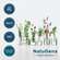 Sie sehen eine Packung NatuGena Biotin, Zink & Selen, Produktbild: 05 NatuGena Biotin, Zink & Selen, A-Nr.: 6139383 - 05