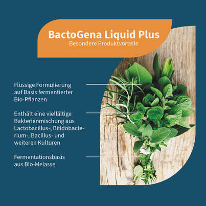 NatuGena BactoGena Liquid Plus, A-Nr.: 6139348 - 02