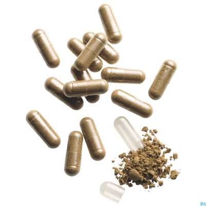 Sie sehen eine Packung Padma Kapseln Aciben Magenbalance 60st, Produktbild: 09 Padma Kapseln Aciben Magenbalance 60st, A-Nr.: 4730250 - 09