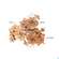 Sie sehen eine Packung Boerlind Compact/powder Beige 60253 9g, Produktbild: 06 Boerlind Compact/powder Beige 60253 9g, A-Nr.: 5688225 - 06
