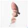Boerlind Natural Lip Glow Transparent 60391 4,2g, A-Nr.: 5974600 - 10