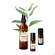 Sie sehen eine Packung Farfalla Juckt Mich Nicht Aroma-roll-on 10ml, Produktbild: 04 Farfalla Juckt Mich Nicht Aroma-roll-on 10ml, A-Nr.: 5935209 - 04