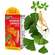 Sie sehen eine Packung Ginseng Ginkgo Revital China Elixier Bio Wein 16% Vol. 330ml, Produktbild: 10 Ginseng Ginkgo Revital China Elixier Bio Wein 16% Vol. 330ml, A-Nr.: 3961697 - 10