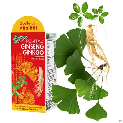 Sie sehen eine Packung Ginseng Ginkgo Revital China Elixier Bio Wein 16% Vol. 330ml, Produktbild: 10 Ginseng Ginkgo Revital China Elixier Bio Wein 16% Vol. 330ml, A-Nr.: 3961697 - 10