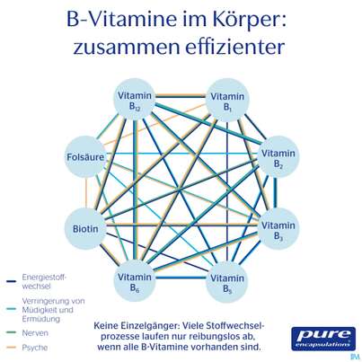 Pure Encapsulations Kapseln B-complex Bce3a 30st, A-Nr.: 5907785 - 03