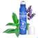 Sie sehen eine Packung Puressentiel Kopfschmerzen Roll On +9 Aetherischen Oelen 10ml, Produktbild: 03 Puressentiel Kopfschmerzen Roll On +9 Aetherischen Oelen 10ml, A-Nr.: 5943120 - 03