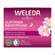 Sie sehen eine Packung Weleda Wildrose/+weisser Tee Glaettende Nachtpflege 40ml, Produktbild: 01 Weleda Wildrose/+weisser Tee Glaettende Nachtpflege 40ml, A-Nr.: 5838179 - 01