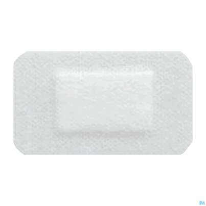 Wundpflaster Gota-por Steril 100x 80mm 5st, A-Nr.: 2982220 - 04