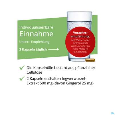 Ingwer Kapseln Extrakt Dr.wolz Nr 60547 120st, A-Nr.: 4297741 - 04