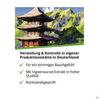 Ingwer Kapseln Extrakt Dr.wolz Nr 60547 120st, A-Nr.: 4297741 - 07