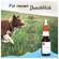 Veterinaerprodukte Pha Augenpflege Hund +katze Lösung 20ml, A-Nr.: 4996798 - 09