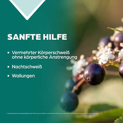 Sie sehen eine Packung Apozema® Nr. 03 Antitranspirant-Tropfen, Produktbild: 03 Apozema® Nr. 03 Antitranspirant-Tropfen, A-Nr.: 0987710 - 03