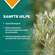 Apozema® Nr. 04 Appetit-Tropfen, A-Nr.: 0745444 - 03