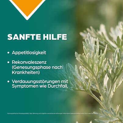 Apozema® Nr. 04 Appetit-Tropfen, A-Nr.: 0745444 - 03
